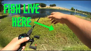 PUNCHING 101 | Everything you need to know to PUNCH the CA, DELTA | Bass Fishing