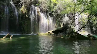 Pomme - Ceux Qui Rêvent | Sub Español