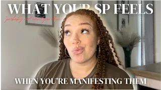 What Your SP Feels When You’re Manifesting Them | Law of Assumption