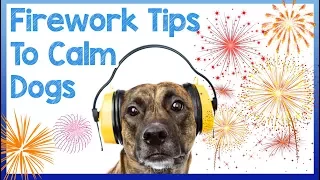 How To Calm Your Dog During NYE Fireworks and loud noises + Announcing the WINNER of PETCUBE!