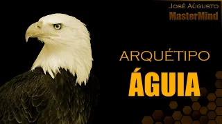 🦅 Arquétipo da ÁGUIA   imagens e som (Poder, liderança e foco)