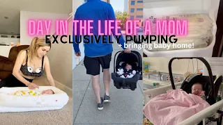 DAY IN THE LIFE OF A WORKING MOM + A NICU BABY | EXCLUSIVELY PUMPING