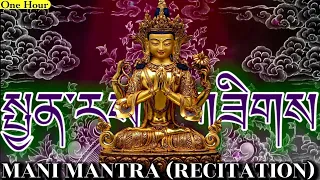 ☸Mani Mantra(Recitation)Om Mani Padme Hum|Mantra Of Avalokiteshvara|Original Extended Version 1 Hour