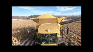 combine corn in Western NY