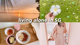 🌸 day in a life of working woman in singapore | simple meal after work, sunrise, shein unboxing