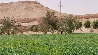 ارض للبيع  ٧ ونص فدان ملك نهائى في قلب مدينة الخارجه الوادي الجديد  للاستفسار ٠١٠٠٧٢٧٨٢٤٢