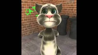 Talking Tom daqui a pouco vai ter vídeos