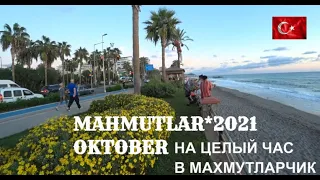 МАХМУТЛАР ГУЛЯЕМ ЦЕЛЫЙ ЧАС ПО МАХМУТЛАРУ 17 ОКТЯБРЯ MAHMUTLAR 🇹🇷