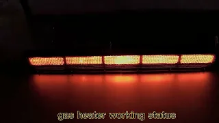 Combustion Powder Coating Gas Burner Catalytic Ceramic Infrared Burner BBQ