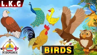 LKG | Birds | Educational Videos for Kids | Teach your Kids at Home