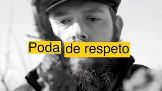 ¿Cómo hacer una poda de respeto?