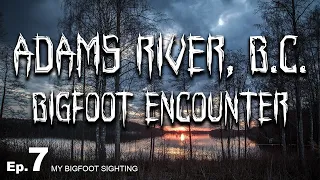 Adams River, B.C. Bigfoot Encounter - My Bigfoot Sighting Episode 7