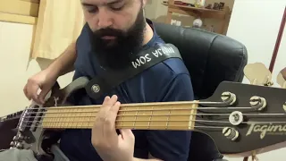 Within Temptation- The Heart Of Everything (Bass cover)