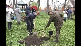 Дерева пам"яті – у музеї Панаса Мирного висадили фруктові дерева