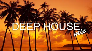 Avicii, Calvin Harris, Kygo, Alok, Robin Schulz, David Guetta, Gryffin   Summer Vibes Mix #356