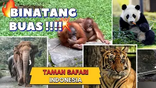 Ngajakin anak-anak ke Taman safari indonesia,