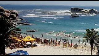 Action at the Western Cape Lifesaving Championship on Clifton 4th over the weekend. from live webcam