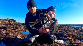 MY BIGGEST FORAGED LOBSTER ? Catch & Cook , Delicious Lobster Pasta