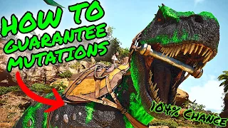 How To GUARANTEE Getting MUTATIONS in Ark Survival Ascended! ASA MUTATION/BREEDING GUIDE