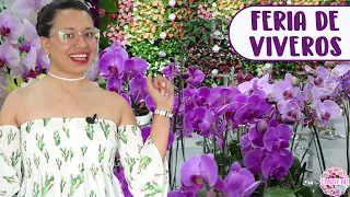 VAMOS A UNA FERIA DE VIVEROS ¡Te sorprenderá todo lo que encontré! ExpoPlantas 2021 │Candy Bu