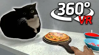 360° Maxwell The Cat WE MAKE PIZZA in VR/4K