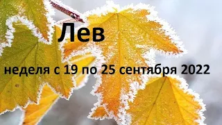 Лев - Таро прогноз на неделю с 19 по 25 сентября 2022 года.