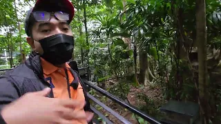 WalkUpon Delay  Berjalan sat di KLIA Airport Jungle Boardwalk Hutan Mini Lapangan Terbang