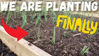 We are FINALLY Planting!!! Are YOU?!?!