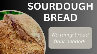 EASY  Sourdough bread with NO FANCY BREAD FLOUR