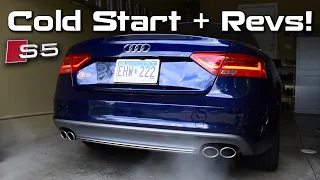 Audi S5 Stock Exhaust Cold Start + Revs (Full HD - Great Sound)