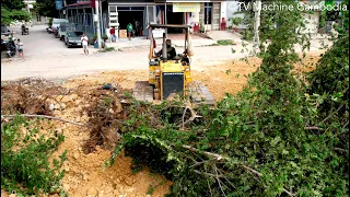 EP2 New Project Update Dozer Push Tree Clearing Stumps With Spreading Stone & Truck5T Unloading