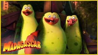 ¡Los pingüinos se convierten en monstruos! | DreamWorks Madagascar en Español Latino