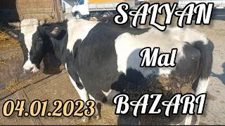 MAL BAZARİ SALYAN  04.01.2023  #malbazari  #malbazarisalyan #dana #sirxansabirabadli