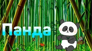 Энциклопедия для детей | Обо всем на свете | ПРО ПАНДУ