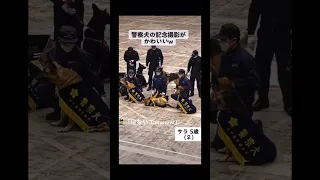 警察犬の記念撮影が可愛いすぎたw【ショート動画】