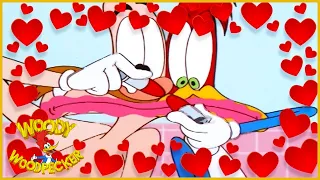 Woody Woodpecker ❤️ Date With Destiny ❤️Valentines Day Special ❤️Kids Movies