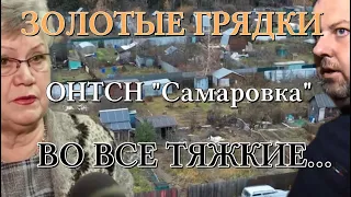 ЗОЛОТЫЕ ГРЯДКИ — Афёра в товариществе огородников «Самаровка». Правление ударилось во все тяжкие.