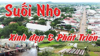 177. Thăm SUỐI NHO | Vùng đất XINH ĐẸP và PHÁT TRIỂN Nhanh Từng ngày |Định Quán ,Đồng Nai.