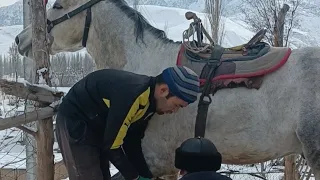 Horse shoeing || Ковка лошадей || Ат такалоо || Kyrgyzstan   #horseshoe #englishhorse #hooftrimming