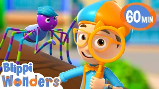 Blippi Wonders How do spiders make their webs? | Blippi Wonders Educational Videos for Kids