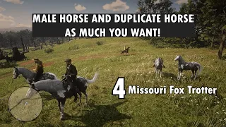 How to Get Male Horse and Duplicates Horse | Red Dead Redemption 2 | Still Work in 2024