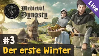#3: Der erste Winter ✦ Let's Play Medieval Dynasty (Blind / Livestream-Aufzeichnung)