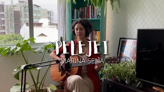 PELEJEI - Marina Sena (Cover de AMARINA)