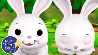 Sleeping Bunnies | Easter Songs for Kids | Learning Animals | Little Baby Bum