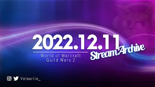 Stream Archive: 2022.12.11 - World of Warcraft
