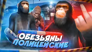 ОБЕЗЬЯНЫ-ПОЛИЦЕЙСКИЕ ЗАХВАТИЛИ ВЕСЬ СЕРВЕР В ГТА 5 РП / GTA 5 RP