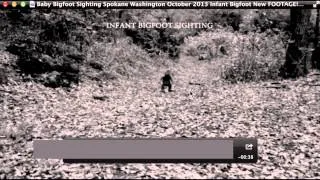 Baby Bigfoot Sighting Spokane Washington Breakdown