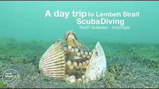 A scuba diving day trip to Lembeh Strait in North Sulawesi - Indonesia