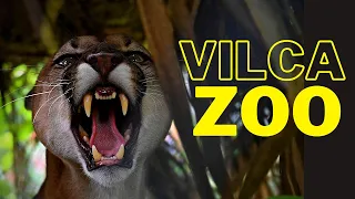Join us as we spend the day at the Vilcabamba Park and Zoo