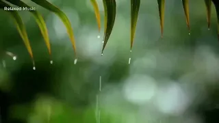 rain - Relaxing Music with Rain Sounds
